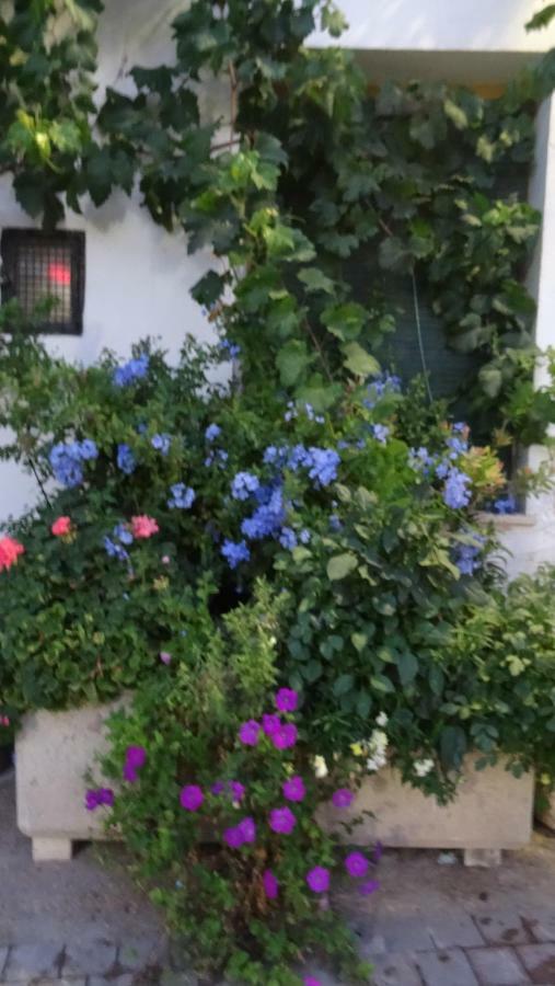 Casa Rural Francisca ريكينا المظهر الخارجي الصورة