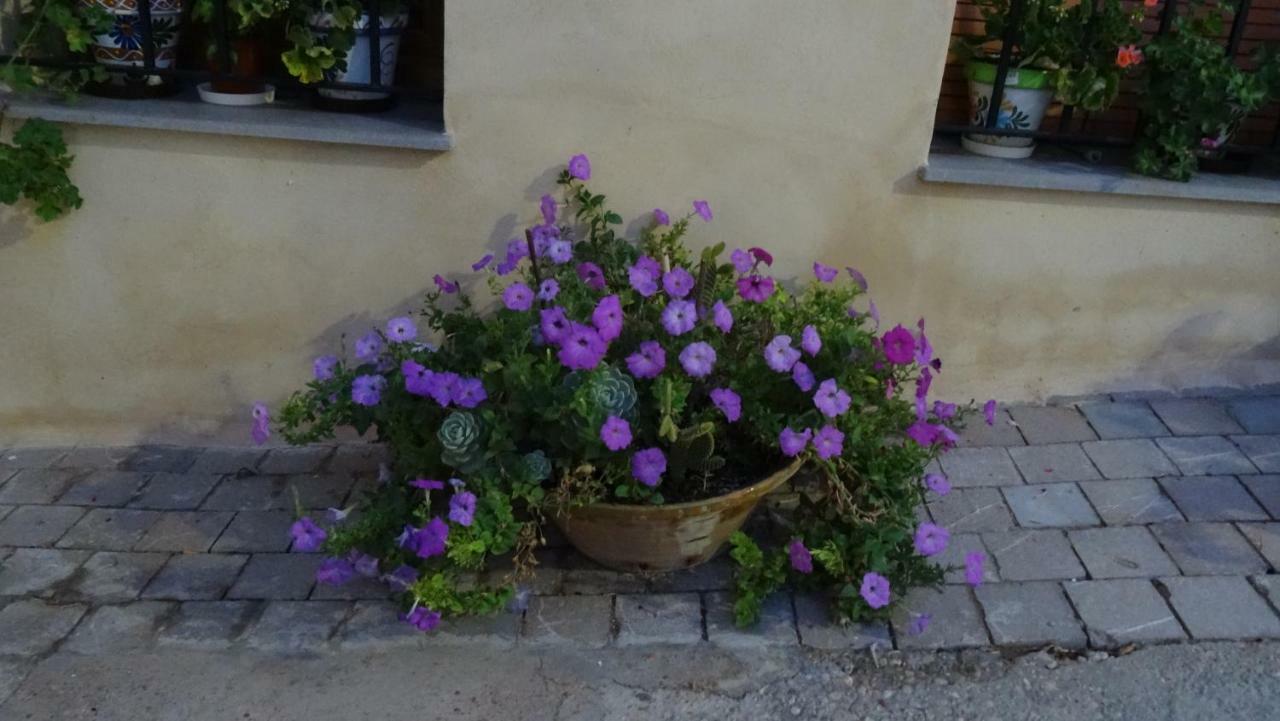 Casa Rural Francisca ريكينا المظهر الخارجي الصورة